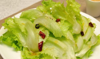 生菜可以放冰箱吗 能不能把生菜放冰箱