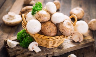 蘑菇里有虫子怎么处理 蘑菇里有虫子的处理方法