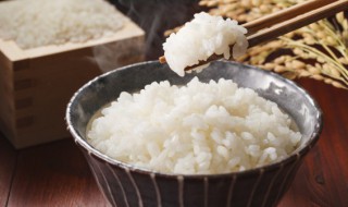 米饭放冰箱好吗 米饭可以放冰箱