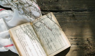 驽钝怎么读 驽钝的读法