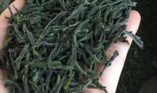 六安瓜片的功效 六安瓜片的功效有哪些