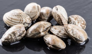 花甲放冰箱能放多久 花甲冷藏放冰箱具体能放多久