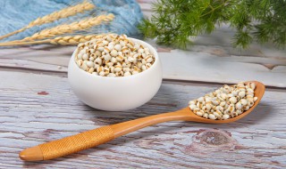 薏米可以经常吃吗 薏米能否经常吃