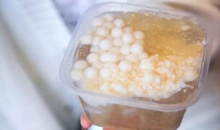 没有冰箱怎么做冰粉 没有冰箱如何做冰粉