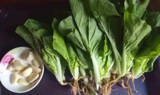 小白菜什么人不能吃 小白菜哪些人不能吃