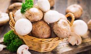 蘑菇什么情况下就不能吃了 蘑菇什么情况下不可以吃