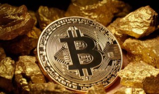 银瓜子有什么用 银瓜子的作用