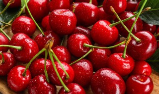 樱桃什么时候吃最好 吃樱桃的季节