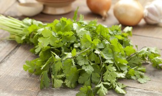 香菜生吃有什么功效 香菜生吃的功效