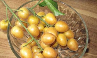 黄皮果为什么叫黄皮果 黄皮果简单介绍