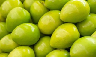 青枣一天吃多少为宜 青枣一天吃多少好