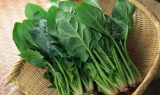 春天适合吃菠菜的原因是什么 春天适合吃菠菜的原因