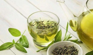 喝绿茶忌什么 喝绿茶忌