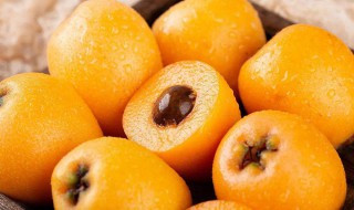 枇杷核怎么吃治咳嗽 枇杷核如何吃治咳嗽