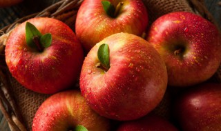 苹果能不能煮着吃 苹果可以煮着吃吗