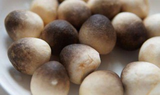 草菇可以放冰箱吗 能把草菇放冰箱吗