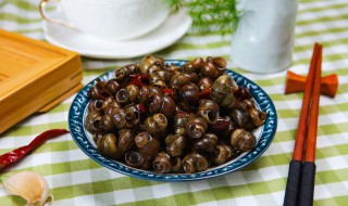 田螺的养生功效 田螺的养生功效有哪些