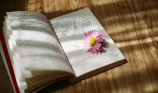 置喙怎么读 置喙的含义