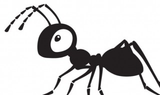 野外防蚂蚁最有效的方法 野外防蚂蚁最有效的方法有哪些