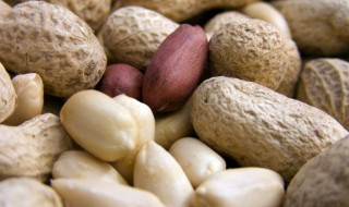 花生有什么功效 花生的作用介绍