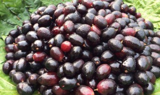 梅子有哪些功效 梅子的作用介绍