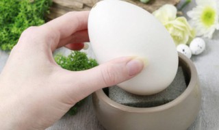 哪些人适合吃鹅蛋 适合吃鹅蛋的人群分析