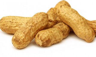 天麻适合哪些人吃 天麻的适宜人群