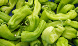 青椒可以放冰箱吗 能不能把青椒放冰箱