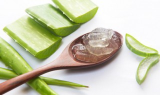 夏天芦荟胶能放冰箱吗 芦荟胶适合放冰箱吗