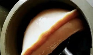 醋蛾子的培养方法 有关醋蛾子的培养方法