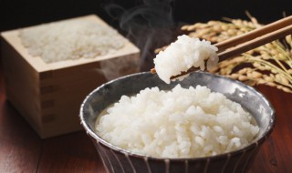 剩饭可以放冰箱吗 能不能冰箱保存剩饭