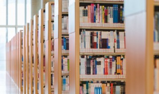 中国第一套宣纸邮票的名称是什么 中国第一套宣纸邮票的名称