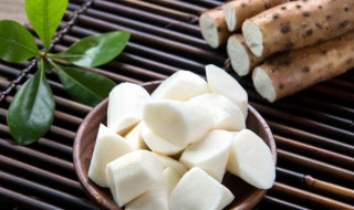 春季吃什么养生适合 春季养生适合吃哪些东西