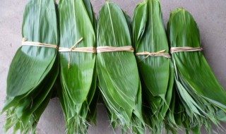 粽子叶怎样保鲜的时间更长 粽子叶如何保鲜的时间更长