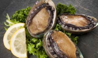 鲍贝的做法 怎样做鲍贝吃