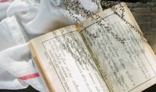 积极励志短句 励志生活的短句