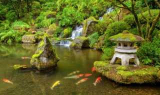 梦见花园的寓意 梦见花园好不好