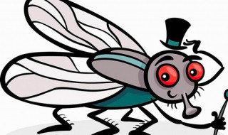 梦见苍蝇寓意 梦见苍蝇意义介绍