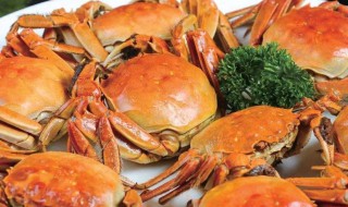螃蟹要蒸多久才能蒸熟螃蟹怎么吃 螃蟹要蒸多长时间才能蒸熟螃蟹如何吃