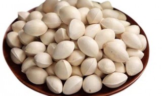 银杏果的功效以及作用 银杏果有什么好处