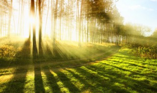 阳光的座右铭 阳光的座右铭有哪些