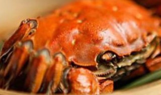 螃蟹一般蒸几分钟 螃蟹一般蒸多少分钟