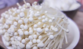 清蒸蒜蓉白金针菇的做法 清蒸蒜蓉白金针菇怎么做