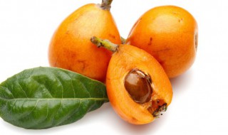 枇杷果的食用注意事项 枇杷果食用禁忌