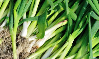 韩式腌山蒜的做法 怎样做韩式腌山蒜