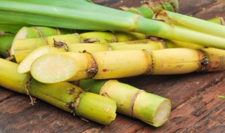 梦见甘蔗寓意 梦见甘蔗预示着什么