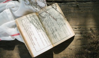 青春励志诗句七言绝句 青春励志诗句七言绝句一览