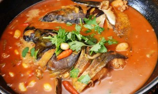炖胖头鱼头的做法 如何做炖胖头鱼头