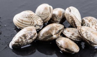 蛤蜊炖瘦肉的做法 如何做蛤蜊炖瘦肉