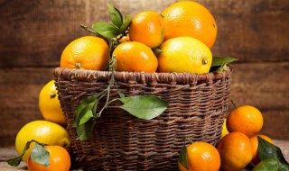 甜橙水果果冻的做法 怎样做甜橙水果果冻